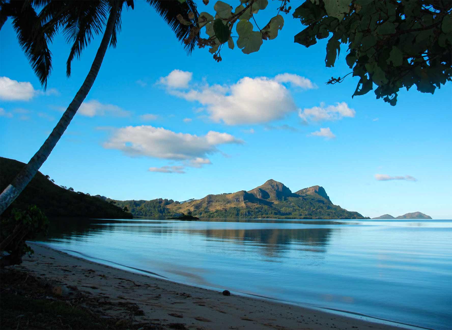 Sea lions and sharks in the Galapagos